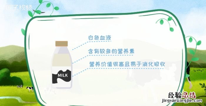牛奶的成分，牛奶的主要营养成分是什么