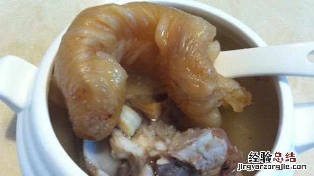 什么叫鱼胶怎么吃有什么营养 什么是鱼胶鱼胶有什么营养价值