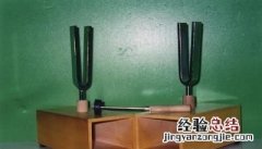 老板最喜欢什么样的员工