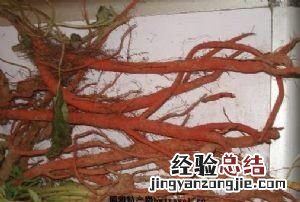 山东日照有什么方便带的特产零食