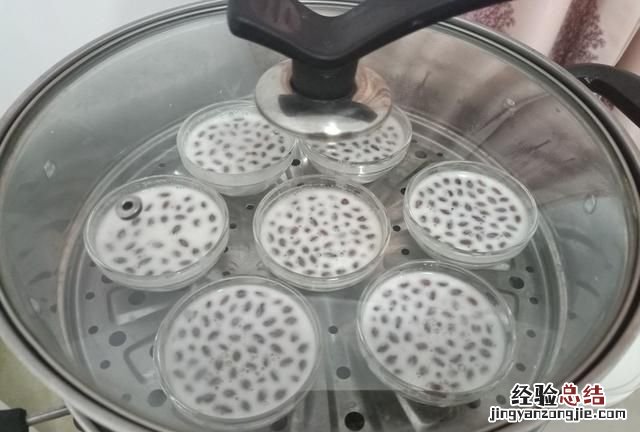 木薯淀粉可以做什么，木薯淀粉有什么功能