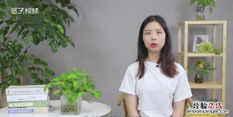 西米是什么