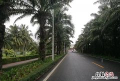 海南人喜欢海口吗