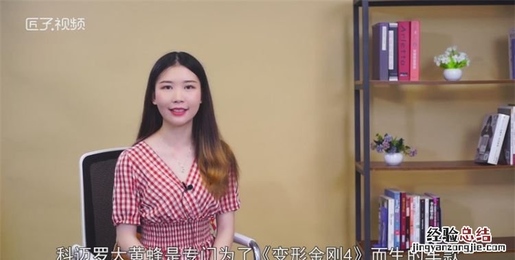 大黄蜂是什么车