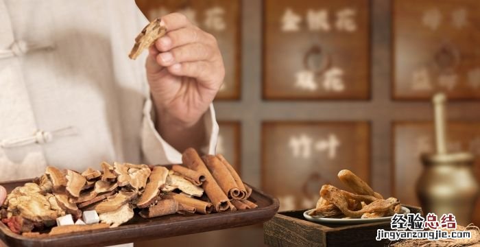 血睡莲紫金牛介绍,紫金牛的功效与作用