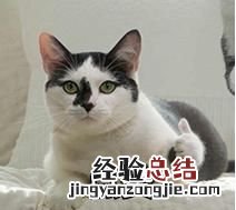 事业单位考试主要考什么