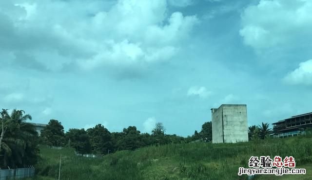 燕窝是如何形成的,真的是燕子的口水吗?