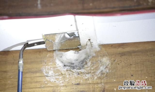 燕窝是如何形成的,真的是燕子的口水吗?