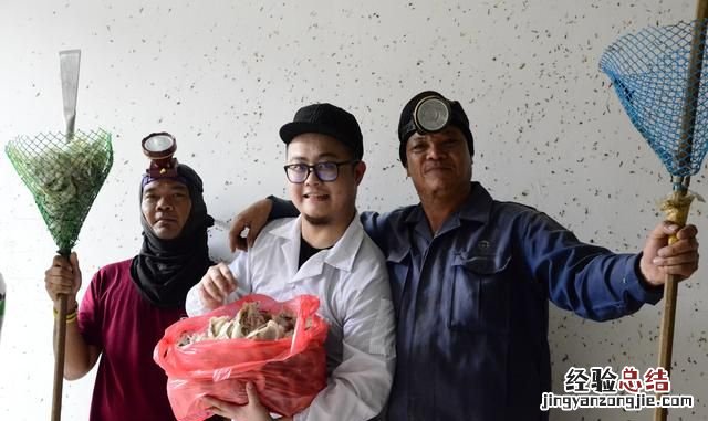 燕窝是如何形成的,真的是燕子的口水吗?