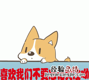 龙猫究竟是什么?是猫还是老鼠呢