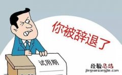 试用期被辞退能领失业金吗 试用期被辞退有补偿吗