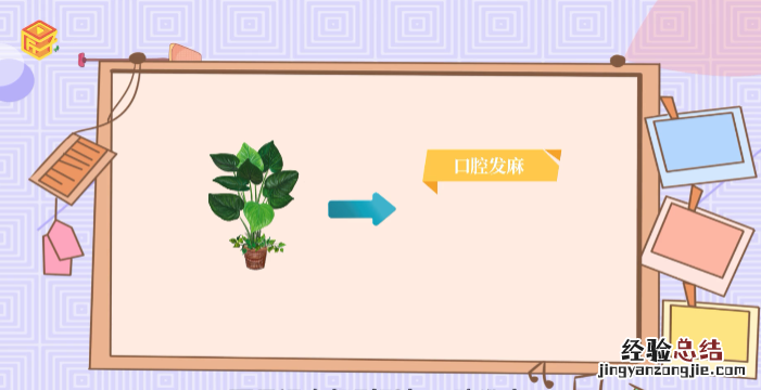 滴水观音有毒，剪过滴水观音的叶子的剪子洗过了剪子上有毒