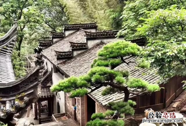 江西婺源最美的景点 江西婺源最美的景区是哪里