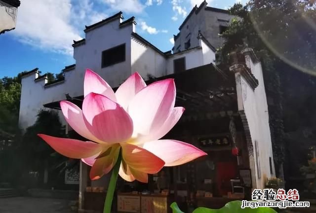 江西婺源最美的景点 江西婺源最美的景区是哪里