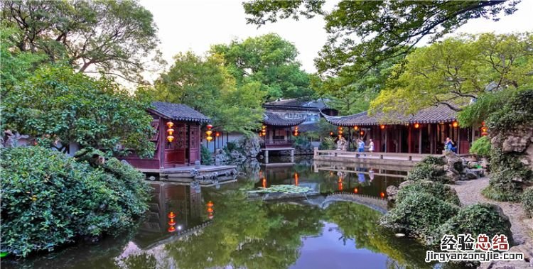 香叶是什么树的叶子