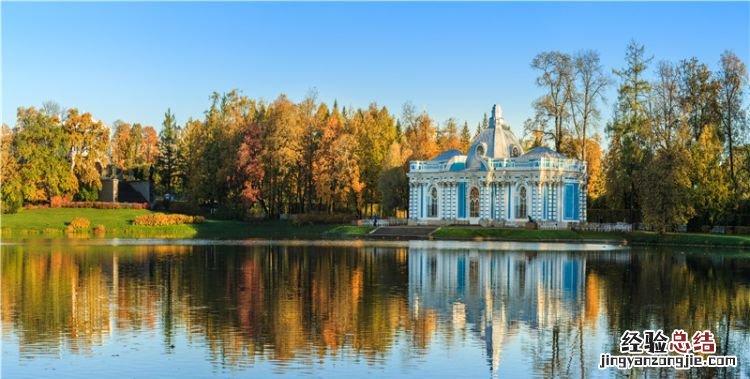 香叶是什么树的叶子