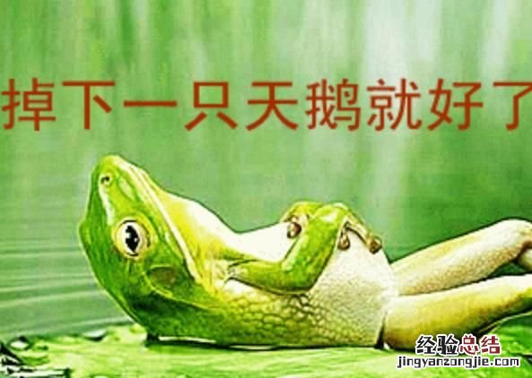 青蛙与癞蛤蟆有什么区别