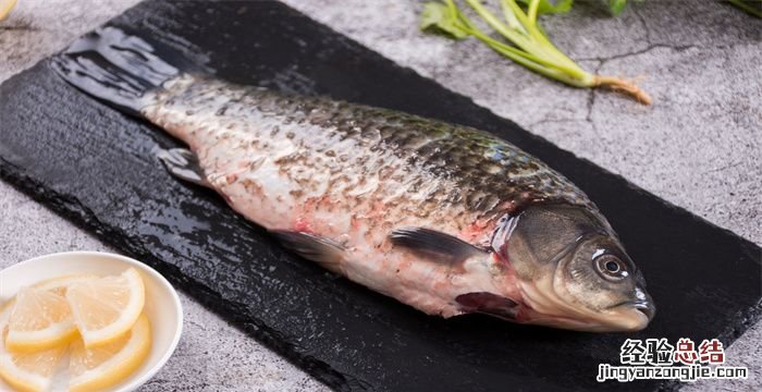 海鲫鱼和鲫鱼的区别