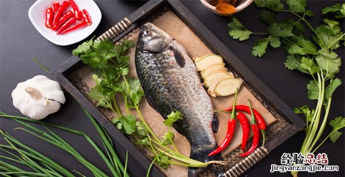 海鲫鱼和鲫鱼的区别