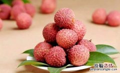 荔枝品种
