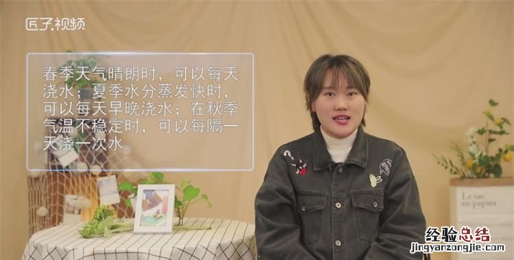 君子兰多久浇一次水