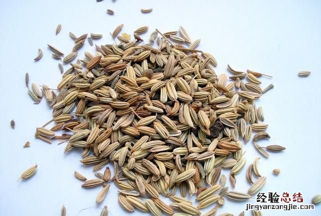 小茴香用量多少 小茴香有什么用