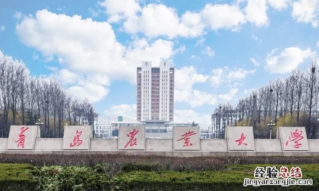 青岛有什么大学,青岛有什么大学985211