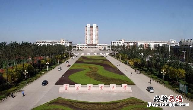 青岛有什么大学,青岛有什么大学985211
