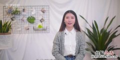 松子是什么树的果实，松子是从什么树上的果子