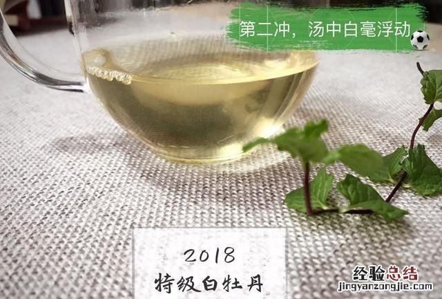 中国较好的白茶产地在哪里
