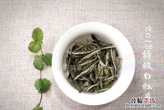 中国较好的白茶产地在哪里