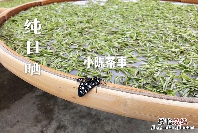 中国较好的白茶产地在哪里