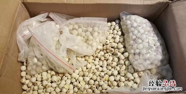 莲蓉月饼用什么材料做的 月饼中的莲蓉是怎么做的