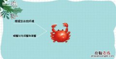 海蟹死了能不能吃了