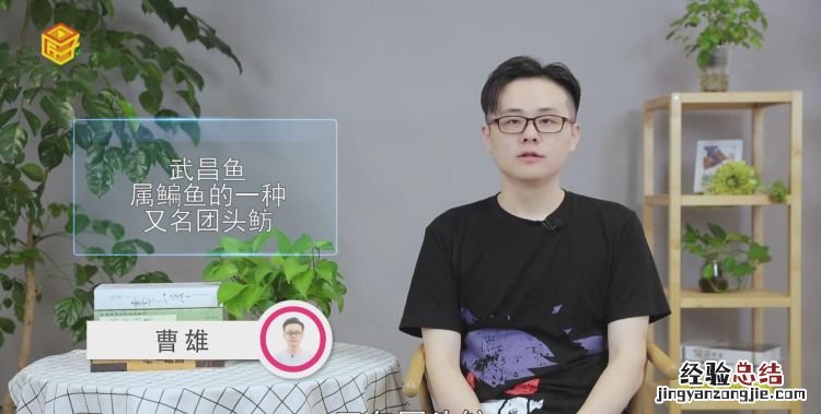 武昌鱼是什么鱼，小小武昌鱼是什么鱼