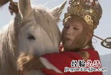 为什么好马不吃回头草答案 为什么好马不吃回头草的原因