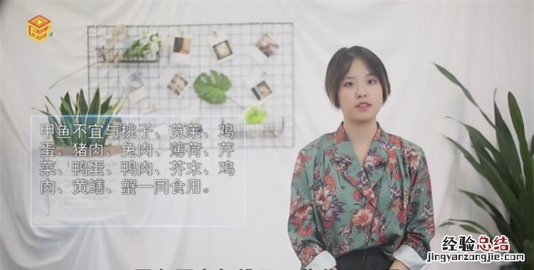 甲鱼不能和什么一起吃
