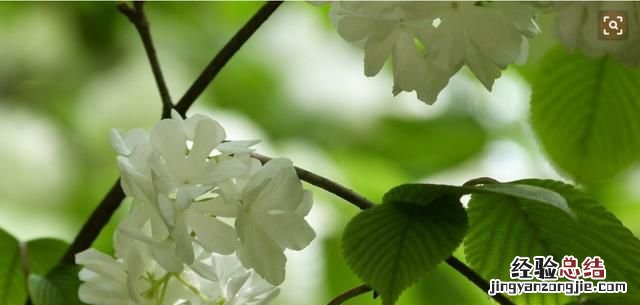 早春是几月,冬天到春天是几月