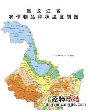 东北水稻什么时候插秧,水稻插秧图片大全大图