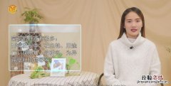菊花的特点是什么
