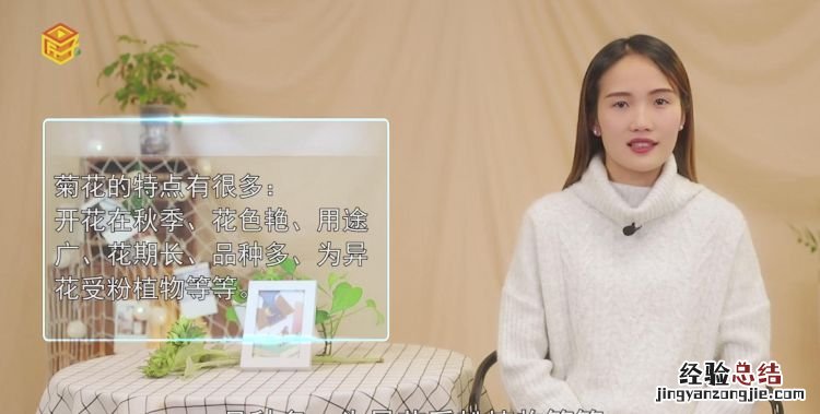 菊花的特点是什么