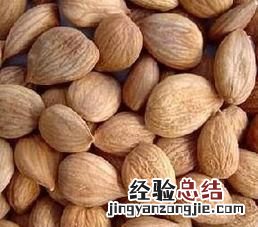 巴旦木桃仁杏仁哪个好 巴旦木属于桃仁还是杏仁
