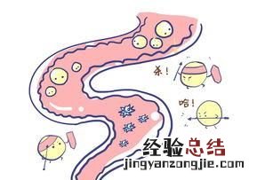 巴旦木桃仁杏仁哪个好 巴旦木属于桃仁还是杏仁