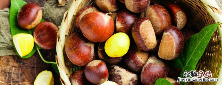 煮栗子需要多长时间