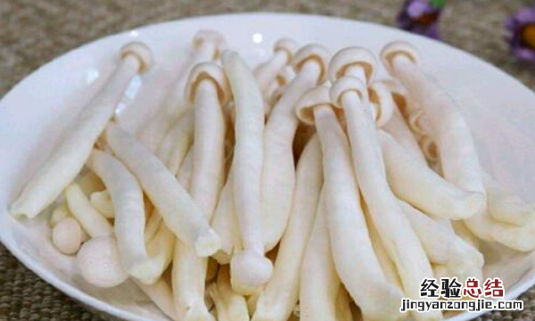 蟹味菇不能和什么一起吃