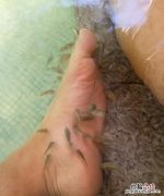 煎鱼能杀死寄生虫吗