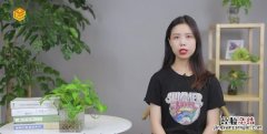 西欧有哪些国家