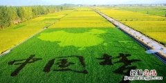 未来十年最有发展前途的职业是什么呢