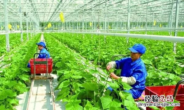 未来十年最有发展前途的职业是什么呢