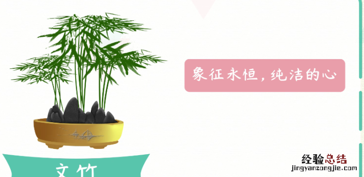 文竹花语，爱情之花语句